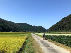 手組ホイール仲間分裂 なんだかなぁ 自転車コギコギ日記 手組ホイール仲間分裂 なんだかなぁ 自転車コギコギ日記