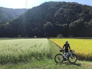 手組ホイール仲間分裂 なんだかなぁ 自転車コギコギ日記 手組ホイール仲間分裂 なんだかなぁ 自転車コギコギ日記