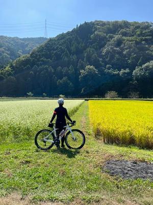 手組ホイール仲間分裂 なんだかなぁ 自転車コギコギ日記