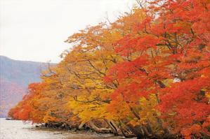十和田湖の紅葉 - ｍｏｍｏのアルバム