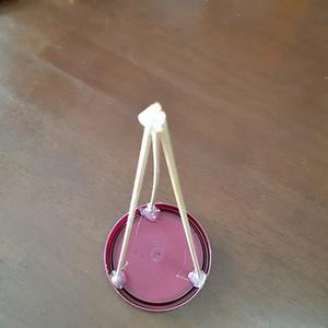 お庭のハツユキカズラでクリスマスツリー - M's Factory