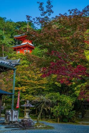 2021京都紅葉～今熊野観音寺（色づき始めの頃） - 鏡花水月