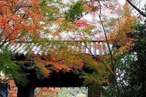 錦繍の京都　高台寺　① - 暮らしを紡ぐ2