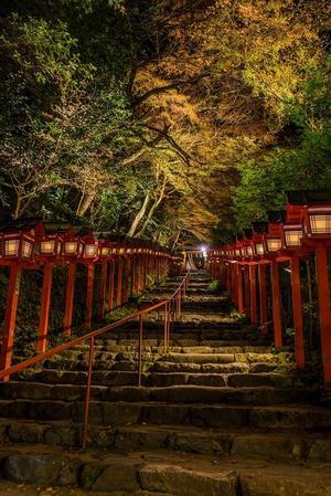 2021京都紅葉～貴船神社ライトアップ - 鏡花水月