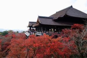 錦繍の京都　清水寺と圓徳院 - 暮らしを紡ぐ2