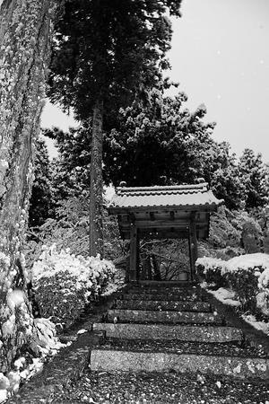 2021年京都の雪景色　初雪景色＠園部　龍穏寺 - デジタルな鍛冶屋の写真歩記