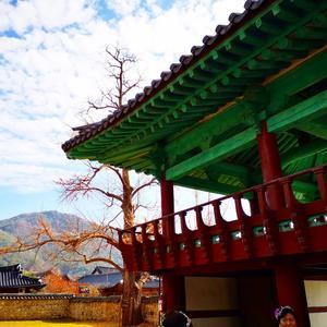 これは驚き文字化けも無く写真もそのまま残っているlivedoorblogの凄さ - "Maeil Jeongjin日々精進"韓国旅とsoccer人生