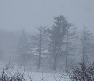 正月から何度も雪かき - 標高480mの窓からⅡ