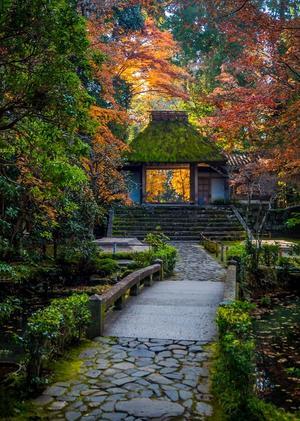 2021京都紅葉～法然院 - 鏡花水月