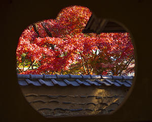 松永記念館・老欅荘の紅葉 - エーデルワイスブログ