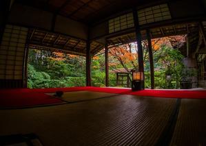 2021京都紅葉～桂春院・侘の庭の紅葉 - 鏡花水月