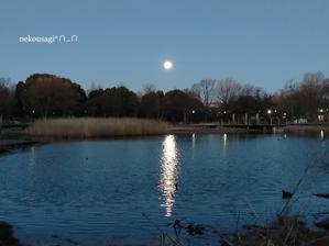 ◆「1/18朝のお月さま」舎人公園大池 - ねこウサギのきもち Vol.0