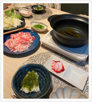 豚しゃぶで夜ご飯とドライブレコーダー - Mikari's Blog