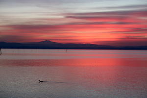 夕焼けに紅のトラジメーノ湖久しぶりに友人と - イタリア写真草子
