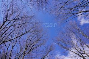 山道さんぽ♪・後編 - FUNKY'S BLUE SKY