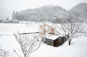 2021年京都の雪景色＠京丹波町　琴滝 - デジタルな鍛冶屋の写真歩記