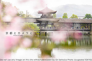 京都とカメラとPhotoShop。春の平安神宮 #京都 @kyotoheianjingu #PhotoShop #SIGMA #カメラ女子 #kyoto #レタッチ - さいとうおりのカメラに恋するフォトレッスン