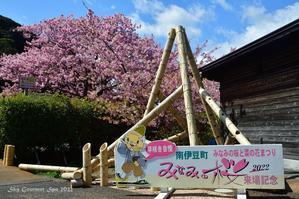 ◆ 東伊豆へ、その4「みなみの桜と菜の花まつり」（2022年3月） - 空とグルメと温泉と