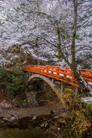 雪景色～西明寺 - 鏡花水月