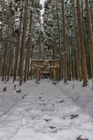雪景色～賀茂神社 - 鏡花水月