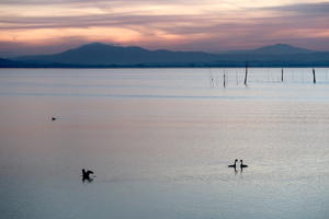 金色に紅に光るトラジメーノ湖と二日月 - イタリア写真草子