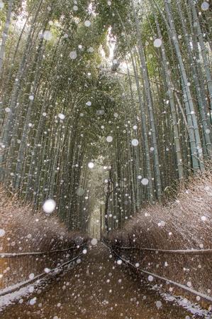 雪景色～嵐山界隈 - 鏡花水月