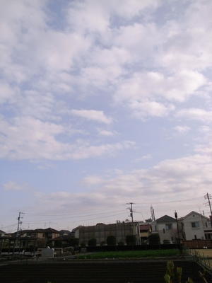 今夕も春の曇り空 - 善福寺川緑地～和田堀公園（写真散歩）