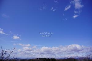 ミツマタ*の道 - FUNKY'S BLUE SKY