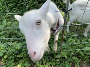 モロッコ行き・・・延期になりました - ブルちゃんのログ