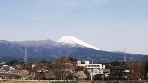 今朝の富士山 - 白い羽☆彡静岡県東部情報発信・・・PiPiPi♪