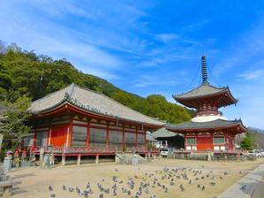 尾道・浄土寺は建物だけではなく、土地を含め国宝 - 