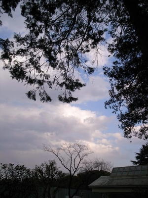 雲大きく - 善福寺川緑地～和田堀公園（写真散歩）