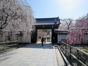 秀吉の愛した花見を。醍醐寺～両親連れて京都旅～ - 旅はコラージュ。～心に残る旅のつくり方～