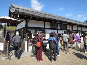 桜咲く世界遺産・二条城～両親連れて京都旅～ - 旅はコラージュ。～心に残る旅のつくり方～