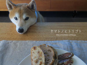 柴犬とパン - yamatoのひとりごと