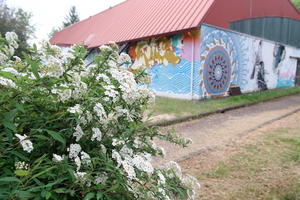 日本感じる壁の芸術もあるペルージャ緑の散歩道 - イタリア写真草子