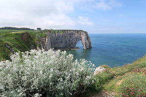 仏エトルタの旅の思い出と英国から来てびっくりルパン、仏語再学習を読書から - イタリア写真草子