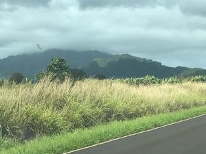 自然を満喫 カエナポイント州立公園 in ハワイ - E*N*JOY