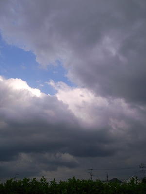 黒い雲空を被いそう - 善福寺川緑地～和田堀公園（写真散歩）