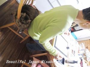 その日は・・・キリ師匠　机も半紙も　のりこえて;･ﾟ☆､･：`☆･･ﾟ･ﾟ☆ - Beautiful Japan 絵空事