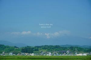 ５月の蔵王山・Ⅰ　（先ずはコマクサ平） - FUNKY'S BLUE SKY