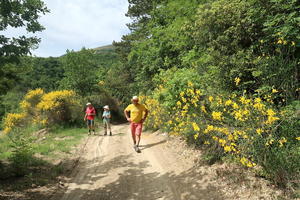 エニシダ咲き香る ペルージャの山を友と歩けば - イタリア写真草子