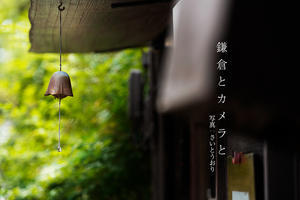 鎌倉とカメラと、夏の少し手前。 #カメラ女子 #SigmaLens #kamakura #鎌倉 - さいとうおりのカメラに恋するフォトレッスン