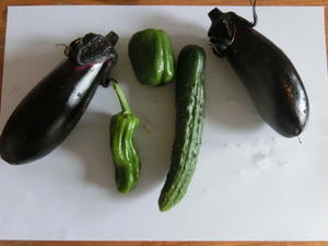 野菜の初収穫 - 