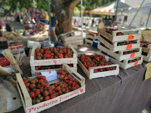 小さな村のイチゴ祭り - フィレンツェ田舎生活便り２