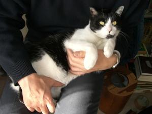 location と locatum - 英語と日本語の窓