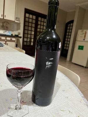 久しぶりのワインが身に染みた夜 - ハチドリのブラジル・サンパウロ(時々日本)日記