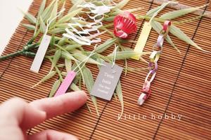 七夕の画像撮影 - Little hobby