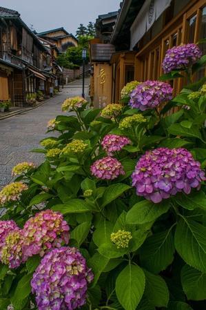 二寧坂の紫陽花と東山界隈 - 鏡花水月
