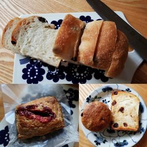 pie おやつ 手ごねパン・bocco ＊ 見頃のバラとサンデーボッコ♪ - ぴきょログ～軽井沢でぐーたら生活～